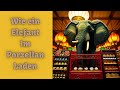 Wie ein Elefant im Porzellanladen