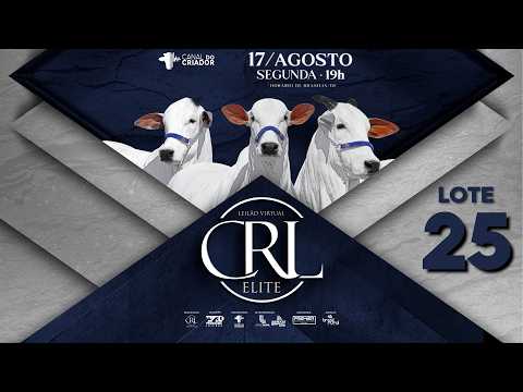 LOTE 25   NCRL 969