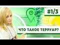 Кулуары терруара. Часть1/3. Что такое терруар. Генетика виноградной лозы. Экосистема. Расположение.