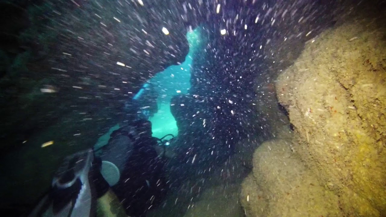 Kauai, Hawaii Diving August 2017 YouTube