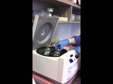 Eppendorf 5702 Closing Caps