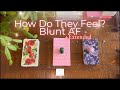 Pick-a-Card: How Do They Feel? Blunt AF! + Extended: Their Next Action [Patreon] 💗