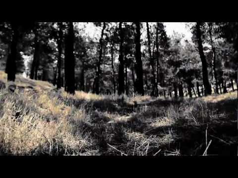 dawn-of-rage-through-the-ashes-lyric-video