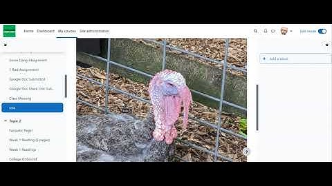 How to Use Activity Completion in Moodle 4.0