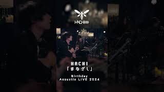 まなざし / HACHI【HACHI Birthday Acoustic Live 2024】#shorts