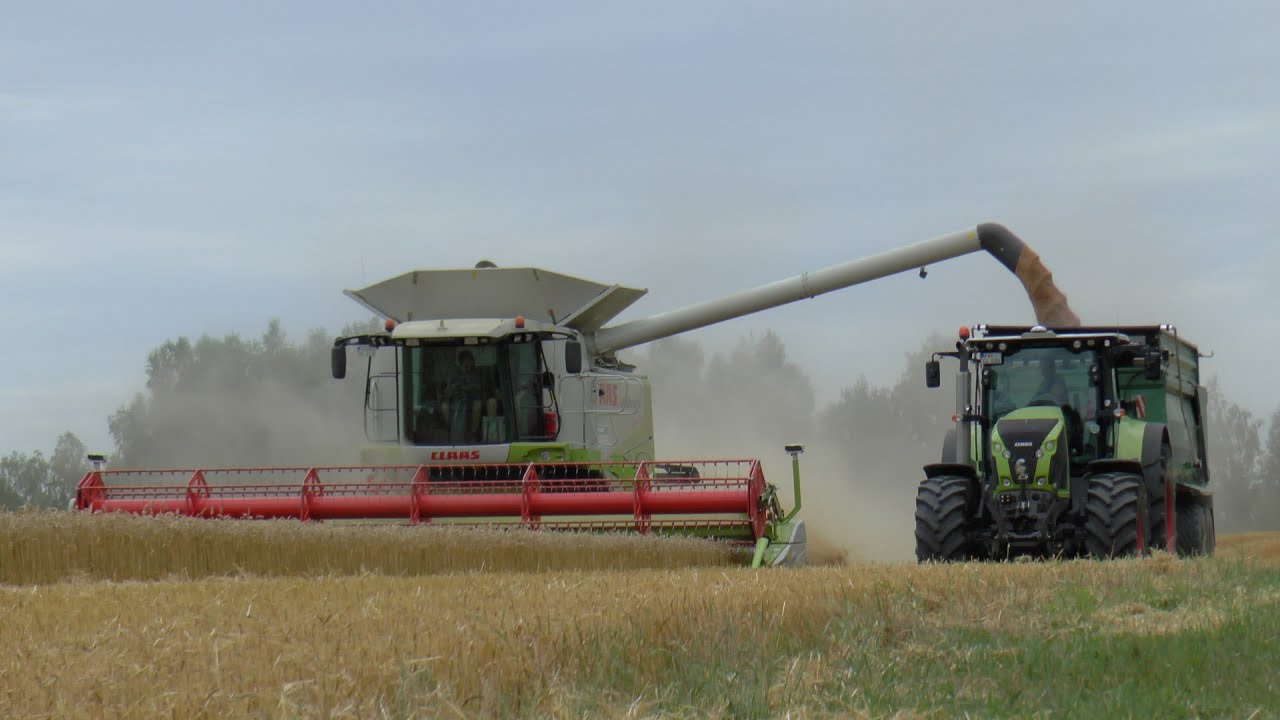 Weizen dreschen *2k15* |Claas Lexion 600 TT|