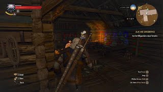 The Witcher 3: Wild Hunt weird bug
