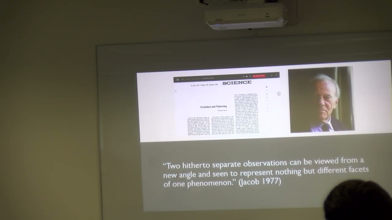 Sequences, Affordances, and the Evolution of Complexity