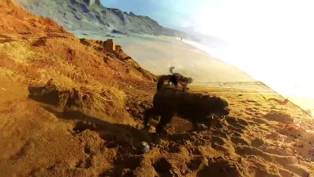 Hentai Babies - Sober As A Judge