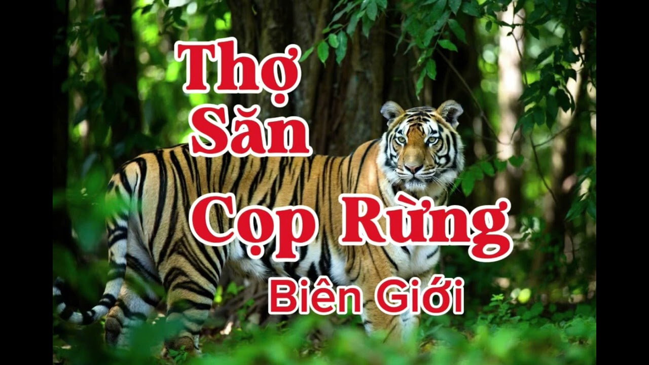 THỢ SĂN CỌP RỪNG BIÊN GIỚI | Lê Anh diễn đọc