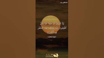 تلاوة مؤثرة من سورة إبراهيم للقارىء مصطفى جيد #islam #islamic #quran #قرآن