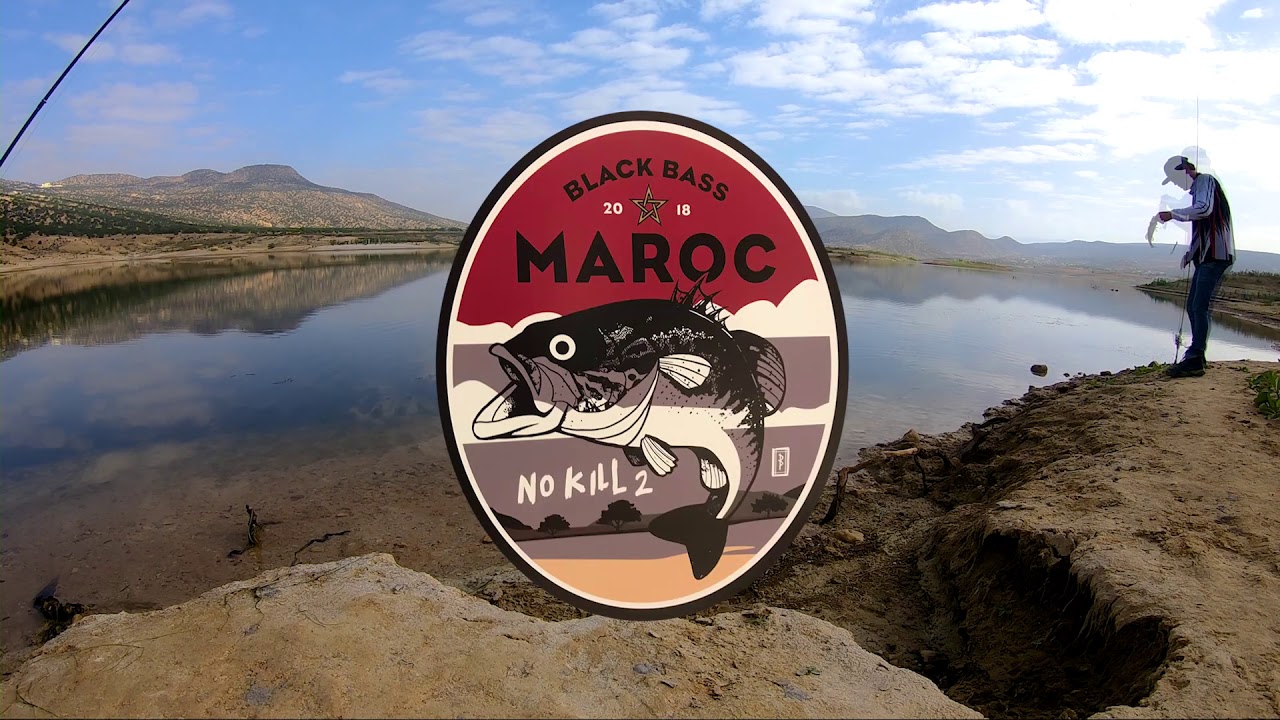 Bass Fishing in Morocco YouTube