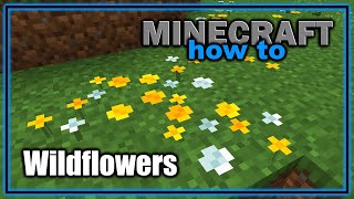 How to Find and Use Wildflowers (1.21.5+) | Easy Minecraft Tutorial