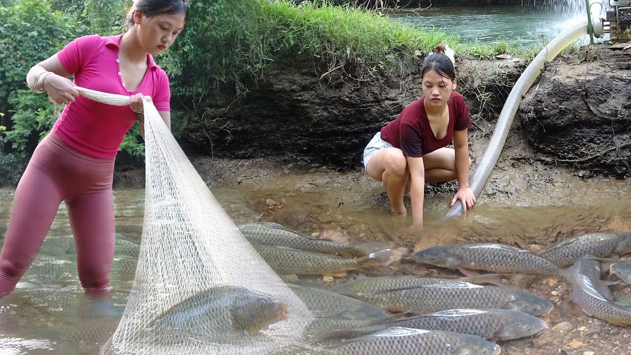 Full Video: Young Girl's Fishing on Rivers and Lakes, Fishing with Net, Catch a Lots of Fish