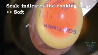 EGG X Color Shift Egg Timer