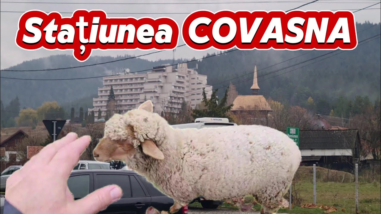 ⚜️ Am căutat LOCAȚIE pentru o CINĂ FESTIVĂ în STAȚIUNEA COVASNA. 🥳