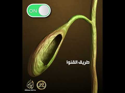 طريق القنوات المرارية مسدود