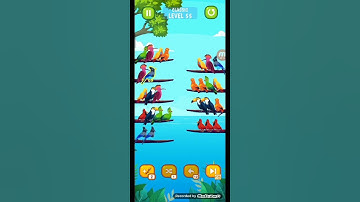 Bird sort puzzle level 55
