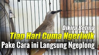 TRUCUK NGERIWIK BUKAN BETINA! BEGINI RAWATANNYA BIAR CEPAT NGEPLONG DAN ROPEL PANJANG