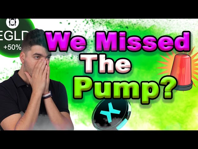 EGLD Pump Explained! Watch this level!