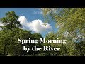 Spring morning by the river