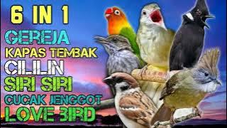 RAJANYA TEMBAKAN JADI SATU !!! KHUSUS TEMBAKAN KASAR !!! JEDA 30 DETIK