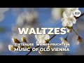 J. STRAUSS – WALTZES - WIENER-FRUCHTELN