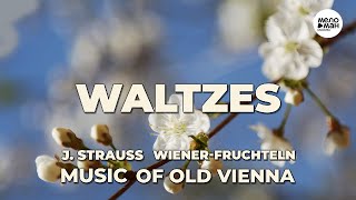 J. STRAUSS – WALTZES - WIENER-FRUCHTELN