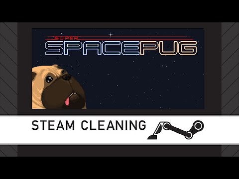 Steam Cleaning - Super Space Pug