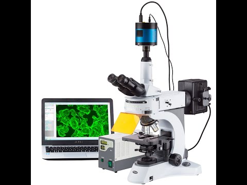 شرح المجهر الفلوري(Fluorescence Microscopy)