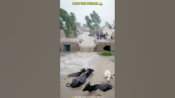 Punjab floods 2025 Entire Punjab is in the grip of floods 😱 #punjabfloods