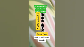 The Messenger Of God Said Explore Morning Prayer Hadiths Pray For The Prophet Islamic Thing 