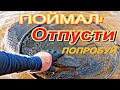 ПОЙМАЛ-ОТПУСТИ!!! ОТПУСКАЙТЕ РЫБУ. МАЛЕНЬКИХ КОТОРЫМ НУЖНО ПОДРАСТАТЬ. И КРУПНЫХ МАТОЧНОЕ ПОГОЛОВЬЕ.