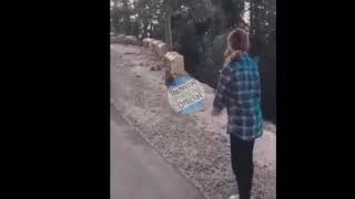 Murree Girl Tiktok Star Yashal Khan Yashal Khan Murree Video