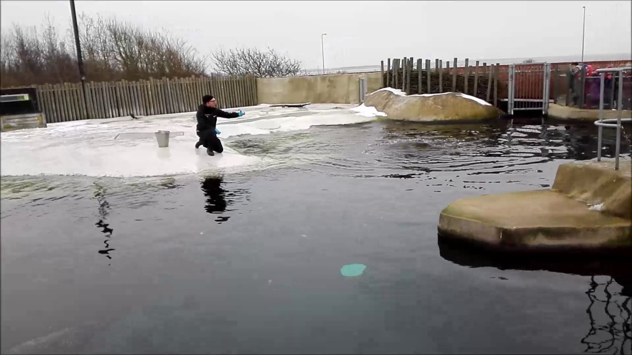 fiskerimuseet esbjerg