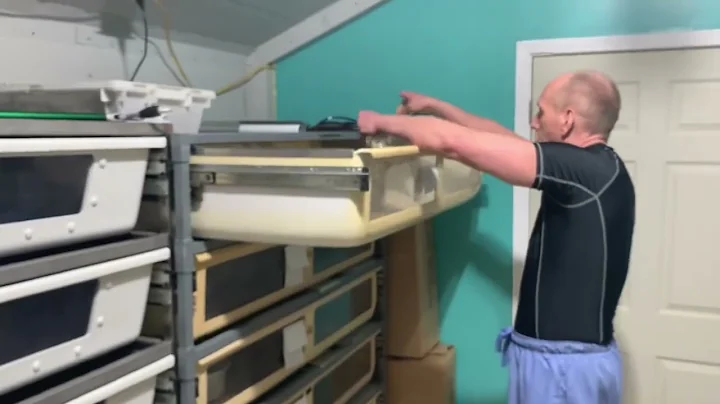 Eastern Diamondback Rattlesnakes! Venom Extraction!