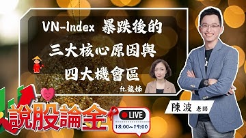 【聯合直播】⭐️VN-Index  暴跌後的三大核心原因與四大機會區 feat.龍姐 ( TK：龍姐說越南 )2025/11/10 18:00