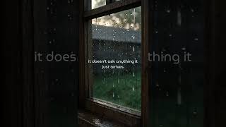 the feeling rain leaves in your body, night walk