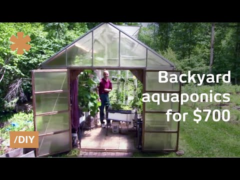 Rob Torcellini bought a $700 greenhouse kit to grow more vegetables in his backyard. Then he added fish to get rid of a mosquito problem and before long he w...