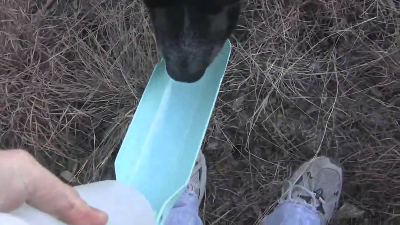 Gulpy On-The-Go Dog Water Dispenser | Keep Doggie Safe