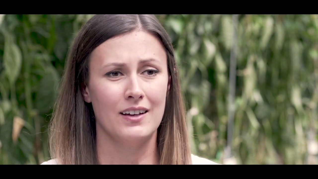 Twin Creeks Greenhouse Inc. | Sustainable Greenhouse Agriculture in Sarnia-Lambton, Ontario