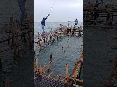nangtangin penunggu bagan pulau tinil!! lihat yang terjadi