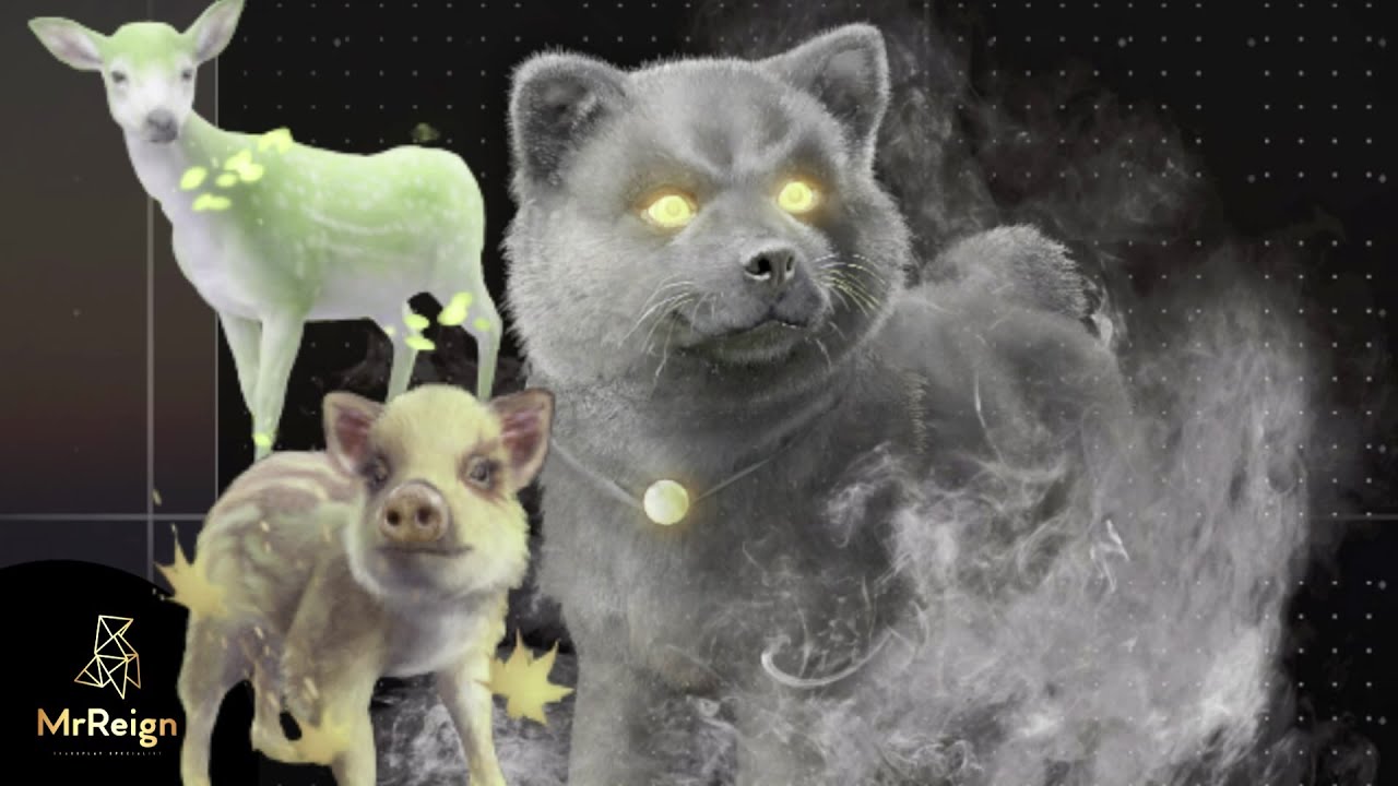 Assassin's Creed Shadows - Pet Locations - How to Get Pets for Your Hideout