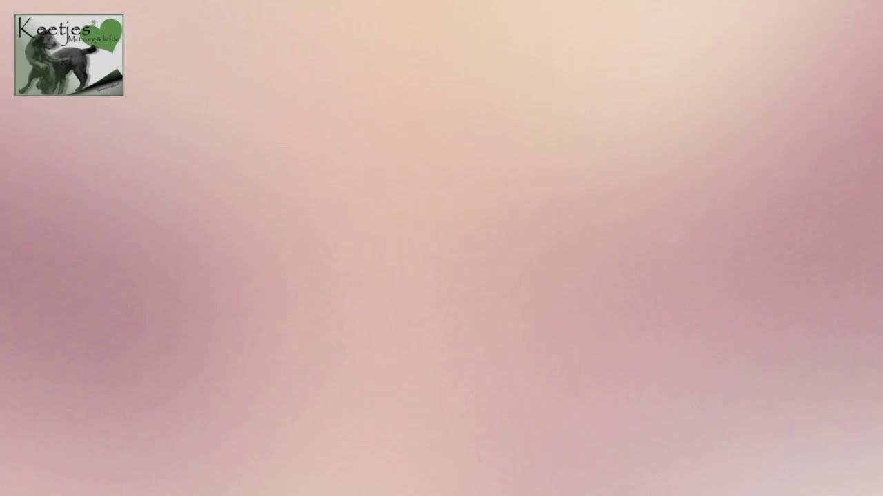 Wishstone E-nest week 3