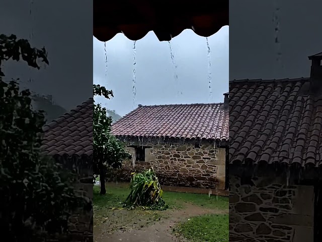 POV: You wake up and it’s raining like this. 🌧️⚡ #rain #rainsounds #nature #shorts