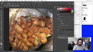 Week 3 Assignment Demo: Pattern