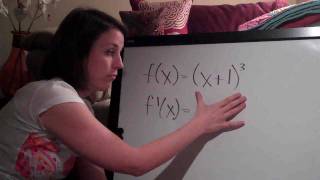 Chain Rule Example 2 (KristaKingMath) Wealth