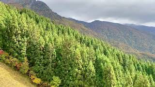 The Hakkaisan Ropeway〈2〉（八海山ロープウェイ)