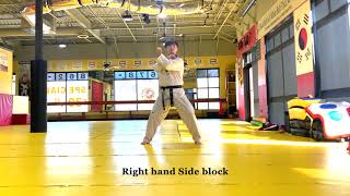 Celebrity Taekwondo Basic 10 Blocks Wealth