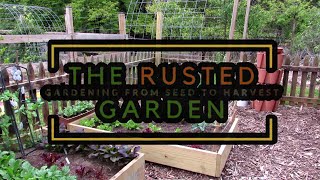 What Size Garden Plot Should I Start With & What Can I Grow in It: Plot Sizes to Grow Into!